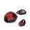 Charred Fragments
