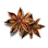 Star Anise Fruit