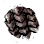 Scale of Black Dragon