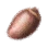 Sturdy Grain Seed
