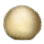 Risen Dough