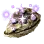 Oyster Shell with Pearls