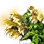 [Level 5] 102 Year Old Golden Herb