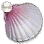 [Level 4] Seashell Deco