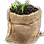 [Level 1] Rakeflower Seed Pouch