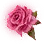 Wild Rose of the Tearless Girl