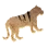 Toe-Caught Lion