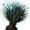 [Level 7] Rusalka's Thorny Bouquet