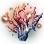 Aqueous Sunset Coral