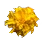 [Event] Campanella Rose Petal
