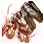 Old Kzarka Amulet