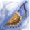 Sandstorm Horn Bow