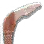 Delphad Castillion's Carnage Florang