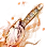 Burning Valtarra's Celestial Bo Staff