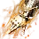 Burning Valtarra's Vediant