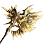 Sovereign Jordun