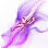 Fiery Kutum Haladie