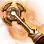 Nouver Clavis
