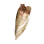 Cracked Tooth