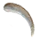 Usable Elephant Ivory
