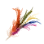 Ragged Five-Color Ferri Feather