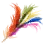 Intact Five-Color Ferri Feather