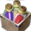 Red Dye Box Bundle