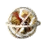 Mount Skill Removal Coupon