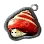 [Pet] Stoneback Crab