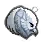 [Pet] Young Griffon