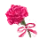 [Event] Carnation