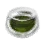 [Calpheonian Dye] Gloomy Lime