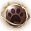 Pet Skill Change Coupon