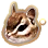 [Pet] Phoniel Squirrel