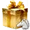 Dream Horse Training Surprise