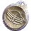 Captain's Medallion