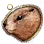 [Pet] Marmot