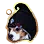 [Pet] Black Cloaked Dog