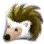 [Pet] Golden Hedgehog