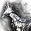 Ashen Crow Horse Gear