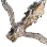 [Archer] Treant Camouflage Crossbow