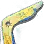 [Shai] Twinkle Star Florang