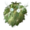 [Valkyrie] Treant Camouflage Shield