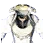 [Witch] Angelic Queen Armor