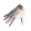[Wizard] Wonderland Gloves