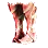 [Shai] Tantu Shoes