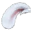 [Nova] White Bunny Ears
